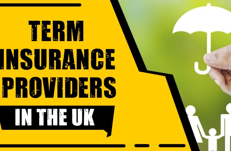 Protecting Your Loved Ones: Top 9 Term Insurance Providers in the UK