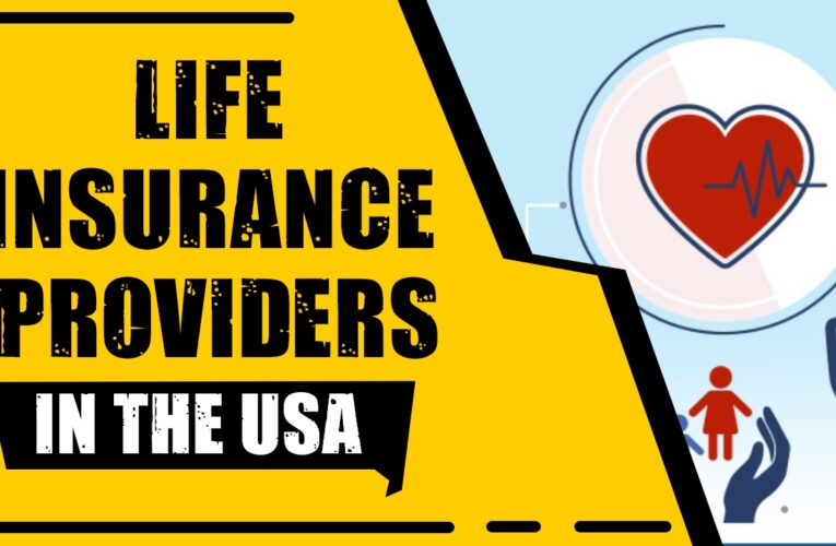 Securing Your Future: Top 9 Life Insurance Providers in the USA